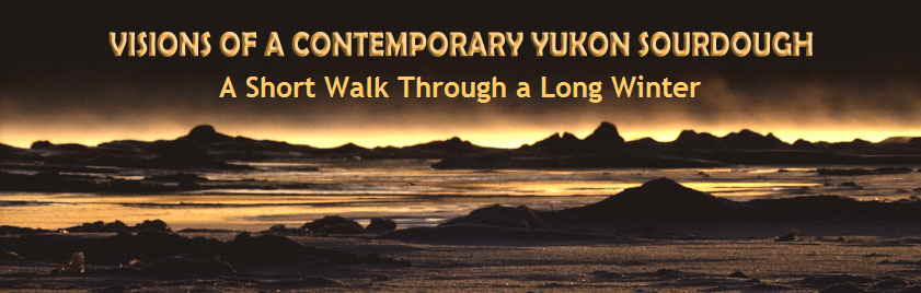 A Short Walk Through a Long Winter