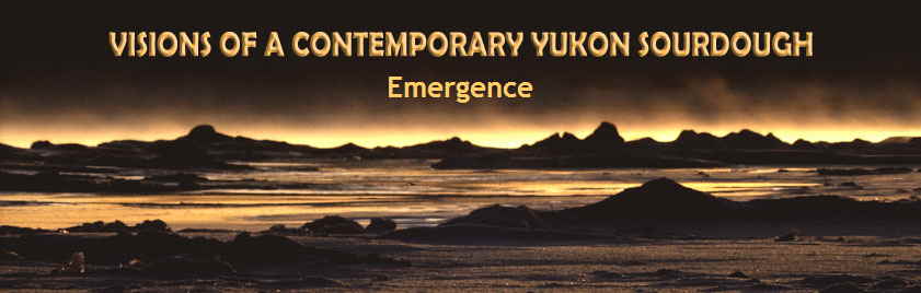 Emergence