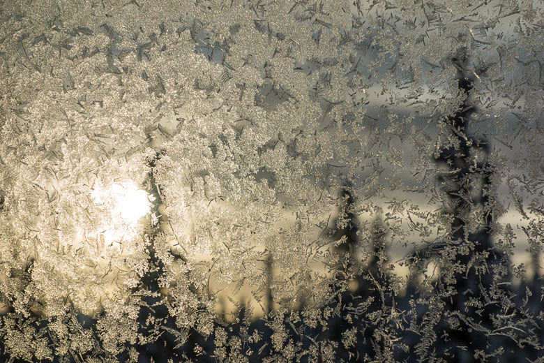 photo: Frozen December Sun