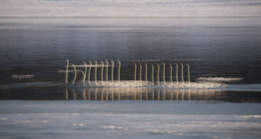 photo: Trumpeters' Progression