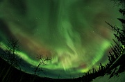 Aurora - February 19, 2014 22;48;35