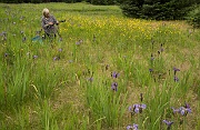 Preparing to Photograph