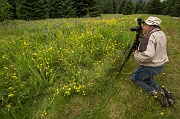 Photographer's Heaven on Earth