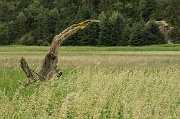The Wind Blows This Way