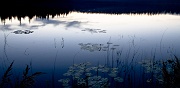 Bear Lake at Dusk 1
