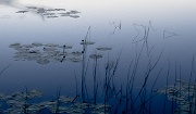 Bear Lake at Dusk 2