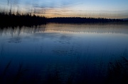 Bear Lake Buzz