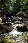 Mara Creek 4