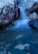 Hummingbird Creek 2