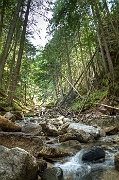 Mara Creek 1