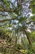 Mara Creek 2