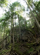 Mara Creek 3