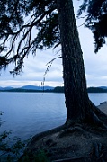  Purden Lake 3 