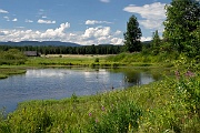  Yellowhead Respite 