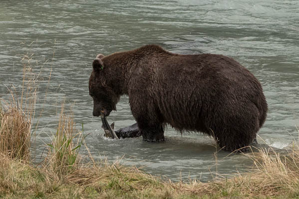 photo: A Fish By the Tail