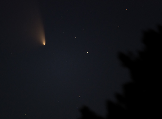 Comet PanSTARRS 3-20-2013 photo: Comet_PanSTARRS_3-20-13