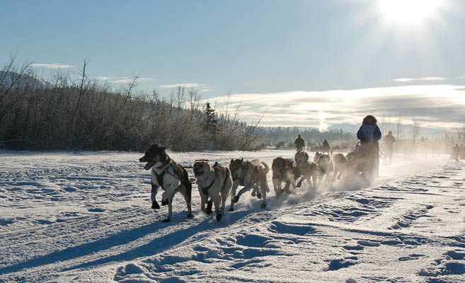 dog team sets out at
                start of Yukon Quest