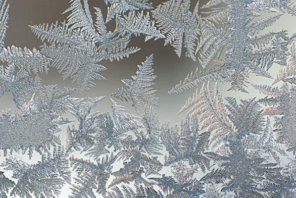 Frosted Glass Frosted Glass