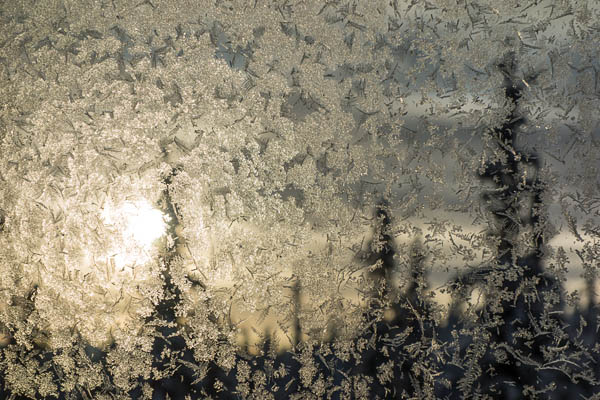 Frozen December Sun photo: Frozen_December_Sun