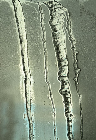 Icicles on Glass photo: Icicles_on_Glass