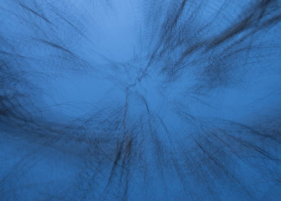Movement_in_Blue photo: Movement in Blue