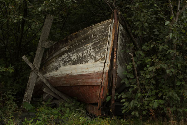 photo: Reclaimed by the Forest