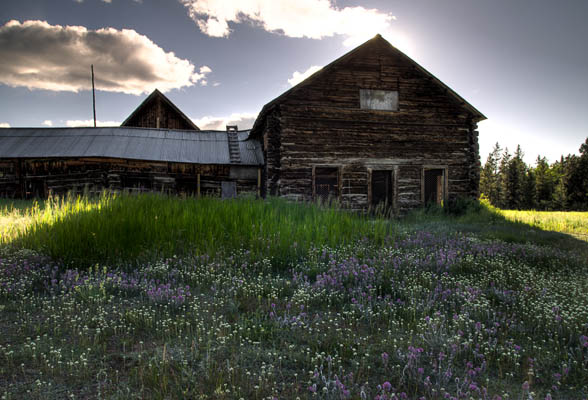 Robinson_Roadhouse_Summer photo: Robinson Roadhouse Summer