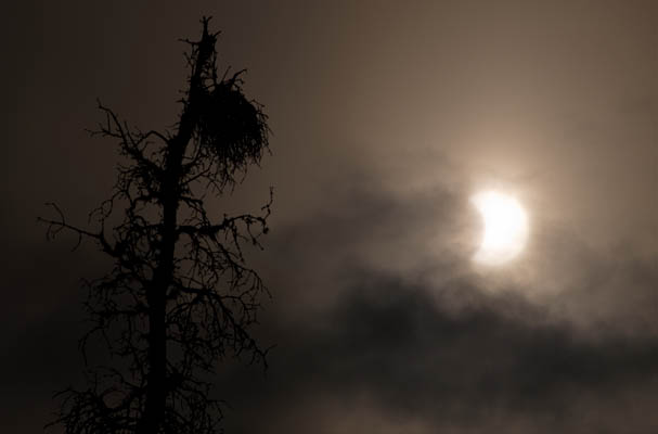 A_Bite_Out_of_the_Sun photo: Solar_Eclipse