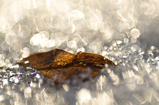 The Lightness of Spring’s Release photo: The Lightness of Spring’s Release