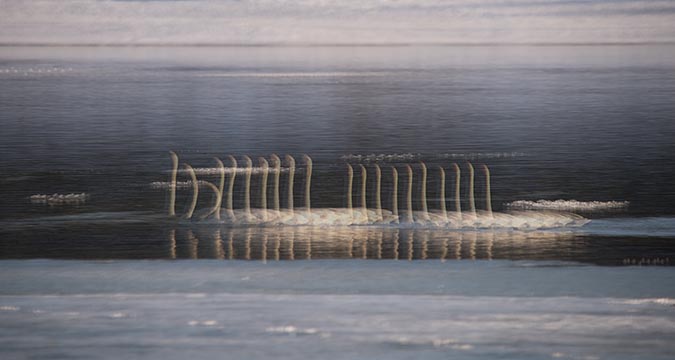 photo: Trumpeters’ Progression