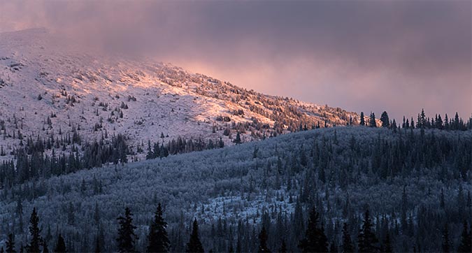 Winter_Hues photo: Winter Hues
