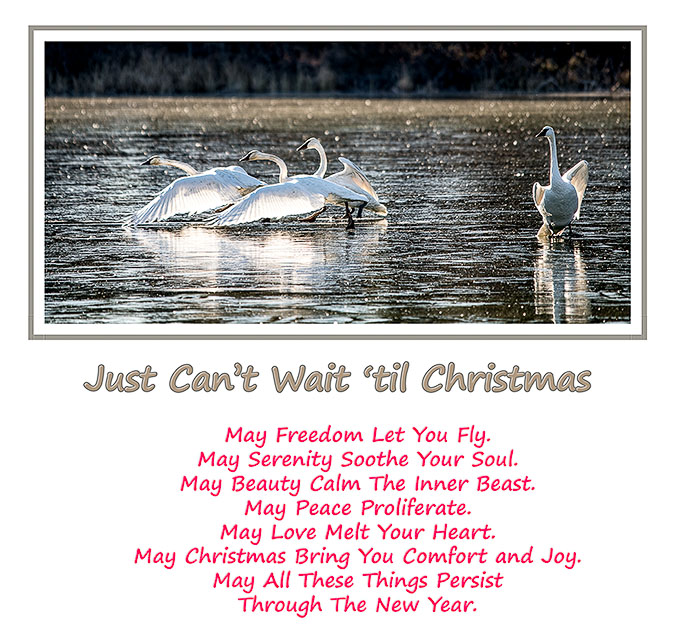 Christmas Card 2023 virtual Christmas Card 2023
