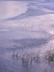 Freeze-up on Pancake Lake #2