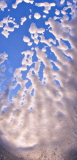 Skylight Art
