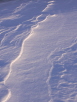 Ripples in the Snow #1