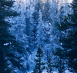 Frost on the Other Side