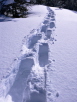 Tough Slogging